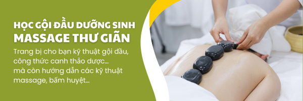 đào tạo gội đầu dưỡng sinh