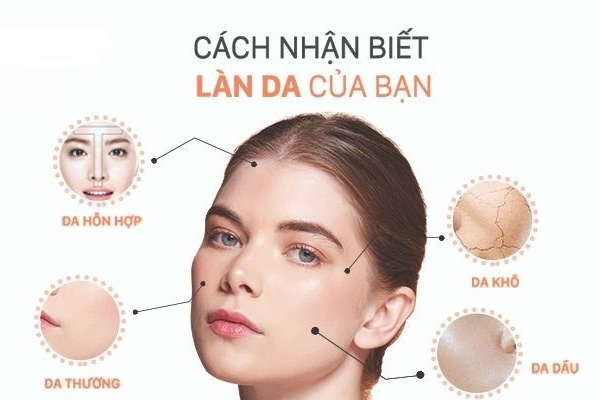 Phân biệt các loại da