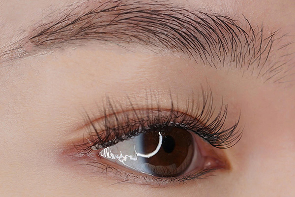 chải mi nhẹ nhàng mỗi ngày