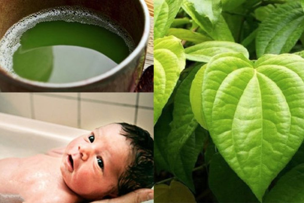 Những Nguyên Liệu Thiên Nhiên Phù Hợp Tắm Cho Trẻ Sơ Sinh