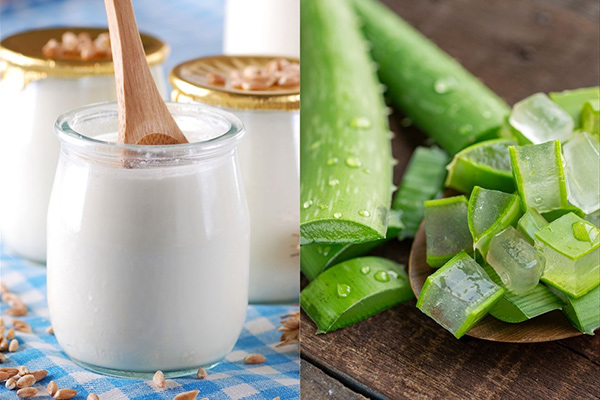 sữa chua không đường kết hợp với nha đam