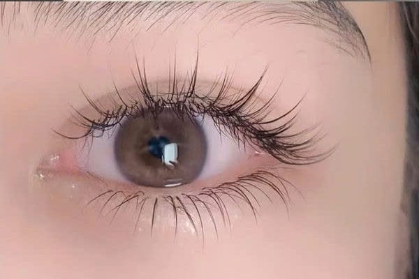 thực hiện kỹ thuật nối và thiết kế khung mi