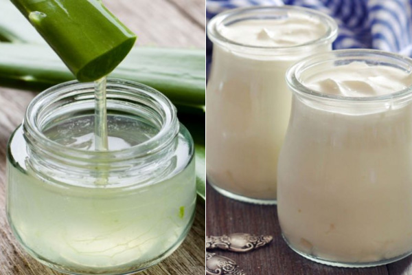 mặt nạ nha đam kết hợp với sữa chua