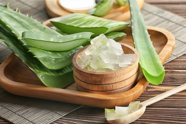 tác dụng của nha đam