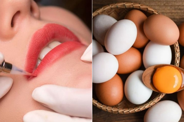 Phun Môi Có Ăn Được Trứng Không